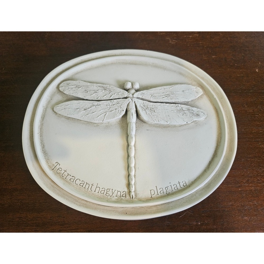 House Parts Oval Dragonfly Plaque Museum White Tetracanthagyna plagiata Decor